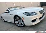 2014 BMW 6-Series 650i Convertible M Sport Edition ExecutiveLighting for Sale