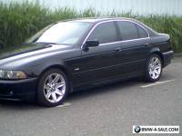 2003 BMW 5-Series M OPTION