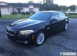 2011 BMW 5-Series Dark Wood for Sale